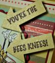RN bees knees clsArrw 350×400